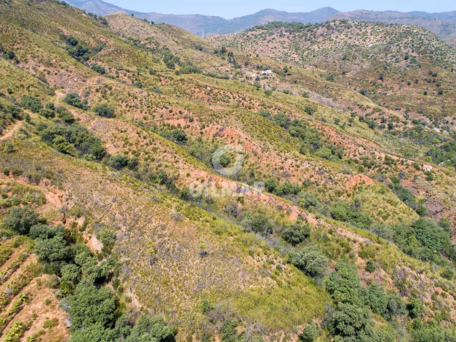 Teren niezagospodarowany na sprzedaż w Estepona - 2 500 000 € (Ref: 9205884)