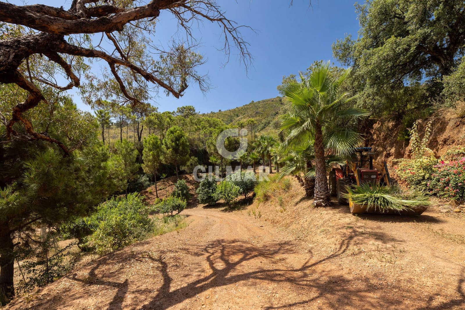 Teren niezagospodarowany na sprzedaż w Estepona - 2 500 000 € (Ref: 9205884)