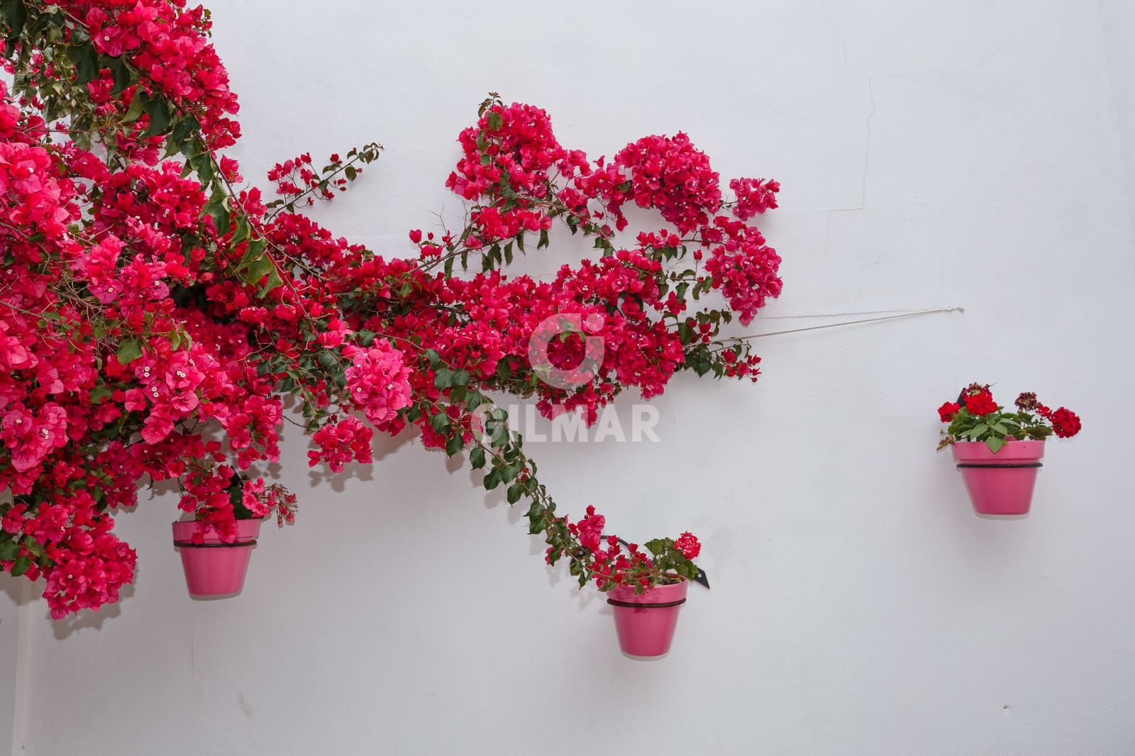 Hotel for sale in Estepona - € 4,300,000 (Ref: 9205906)