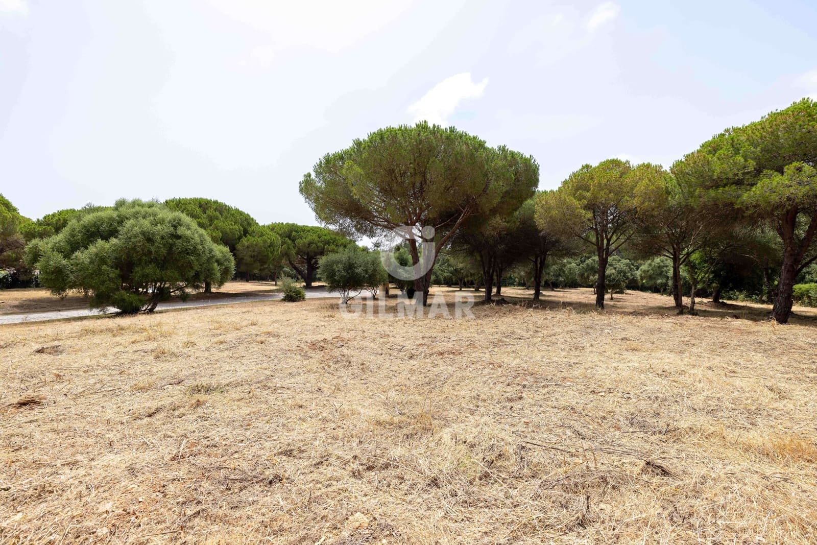 Byggetomt til salgs i Sotogrande - € 2 000 000 (Ref: 9205916)