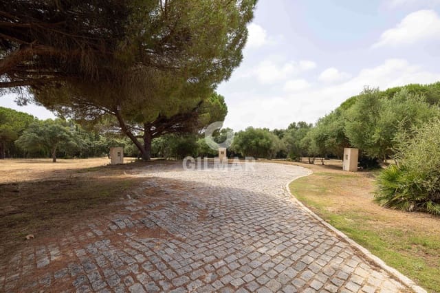 Terreno para Construção para venda em Sotogrande Alto, San Roque - 2 000 000 € (Ref: 9205916)