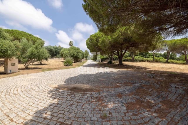 Terreno para Construção para venda em Sotogrande Alto, San Roque - 2 000 000 € (Ref: 9205916)