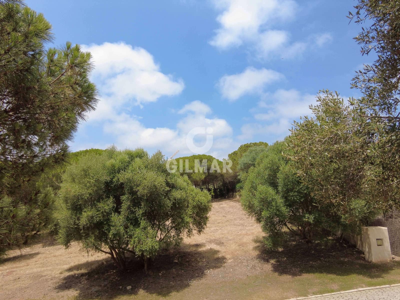 Byggetomt til salgs i Sotogrande - € 2 000 000 (Ref: 9205916)