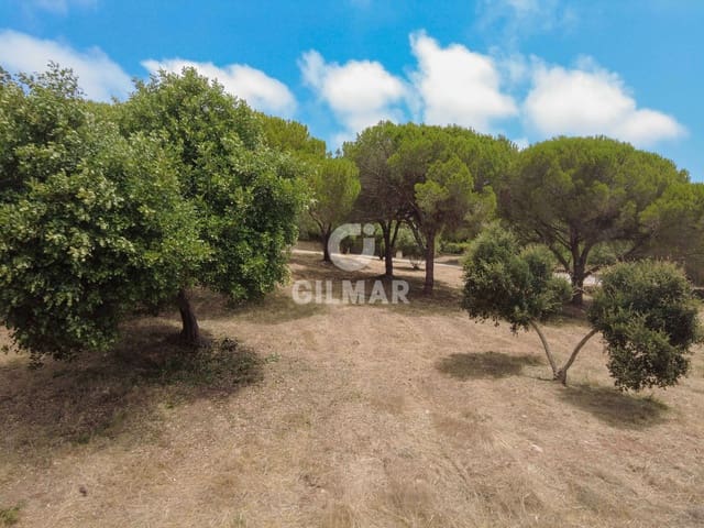 Terreno para Construção para venda em Sotogrande Alto, San Roque - 2 000 000 € (Ref: 9205916)