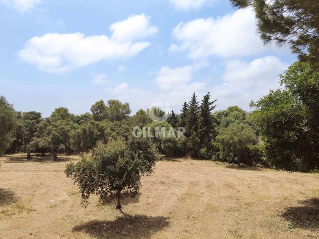 Terreno para Construção para venda em Sotogrande Alto, San Roque - 2 000 000 € (Ref: 9205916)