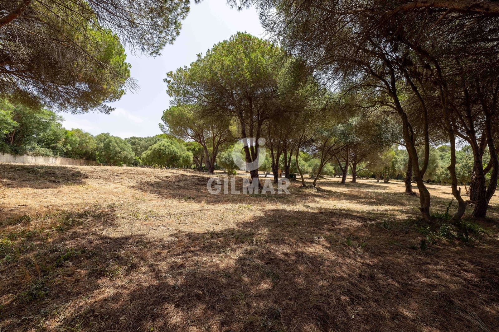 Byggetomt til salgs i Sotogrande - € 2 000 000 (Ref: 9205916)