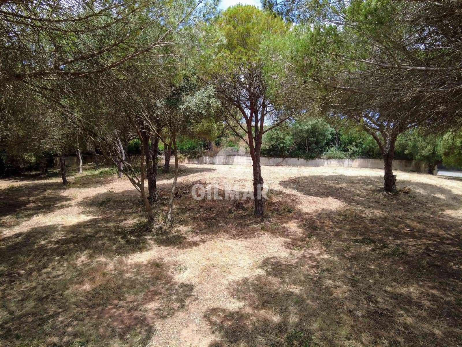 Byggetomt til salgs i Sotogrande - € 2 000 000 (Ref: 9205916)