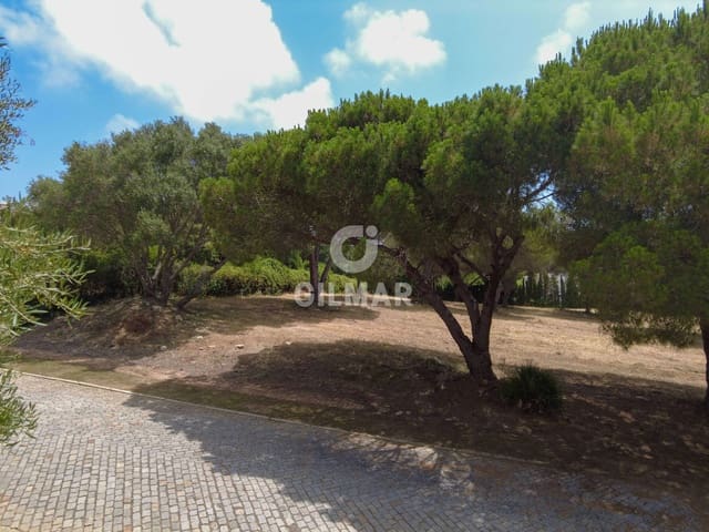 Terreno para Construção para venda em Sotogrande Alto, San Roque - 2 000 000 € (Ref: 9205918)