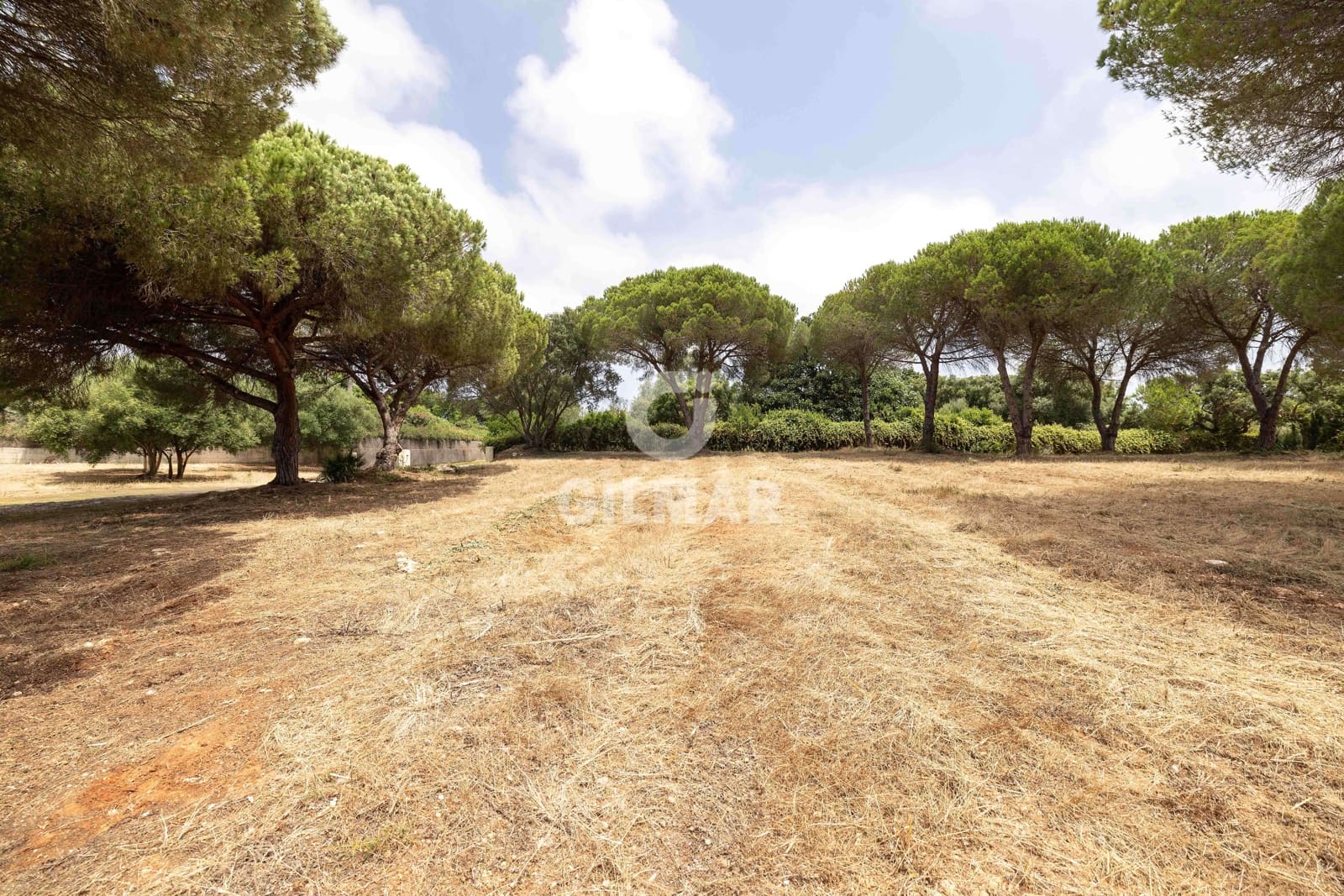 Byggetomt til salgs i Sotogrande - € 2 000 000 (Ref: 9205918)