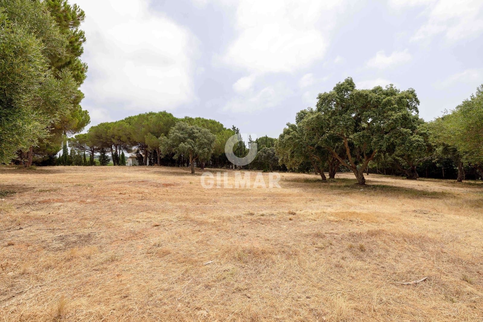 Byggetomt til salgs i Sotogrande - € 2 000 000 (Ref: 9205918)