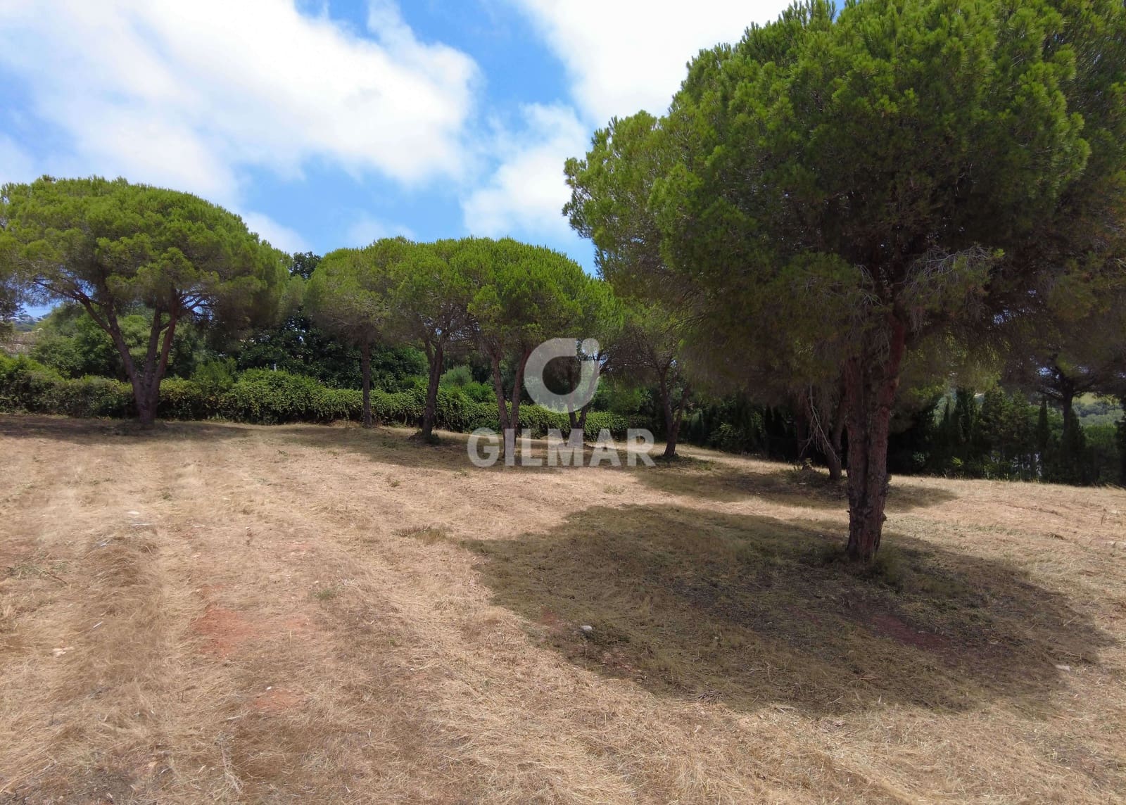 Byggetomt til salgs i Sotogrande - € 2 000 000 (Ref: 9205918)