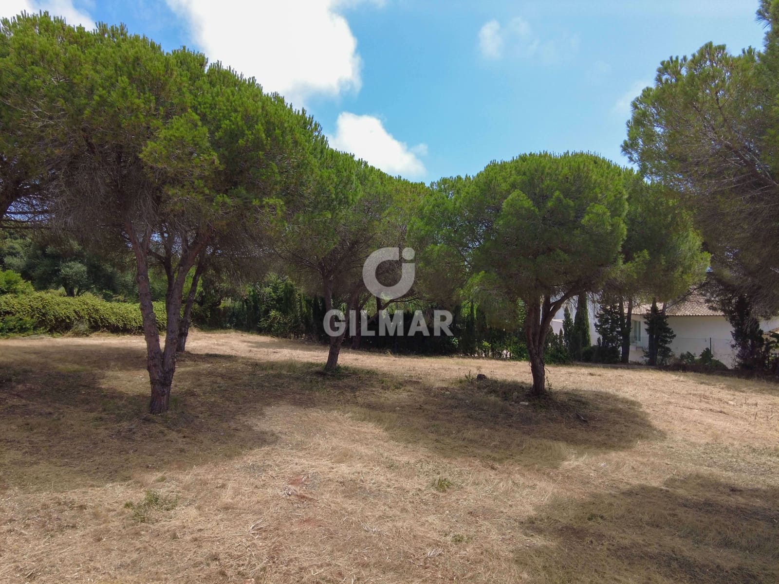 Byggetomt til salgs i Sotogrande - € 2 000 000 (Ref: 9205918)