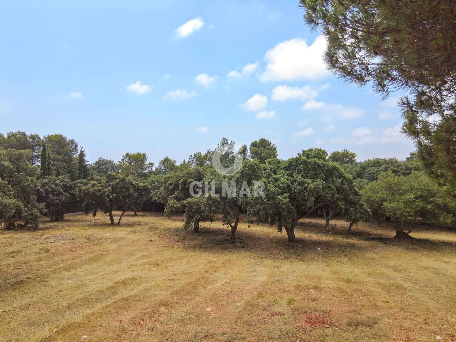 Byggetomt til salgs i Sotogrande - € 2 000 000 (Ref: 9205918)