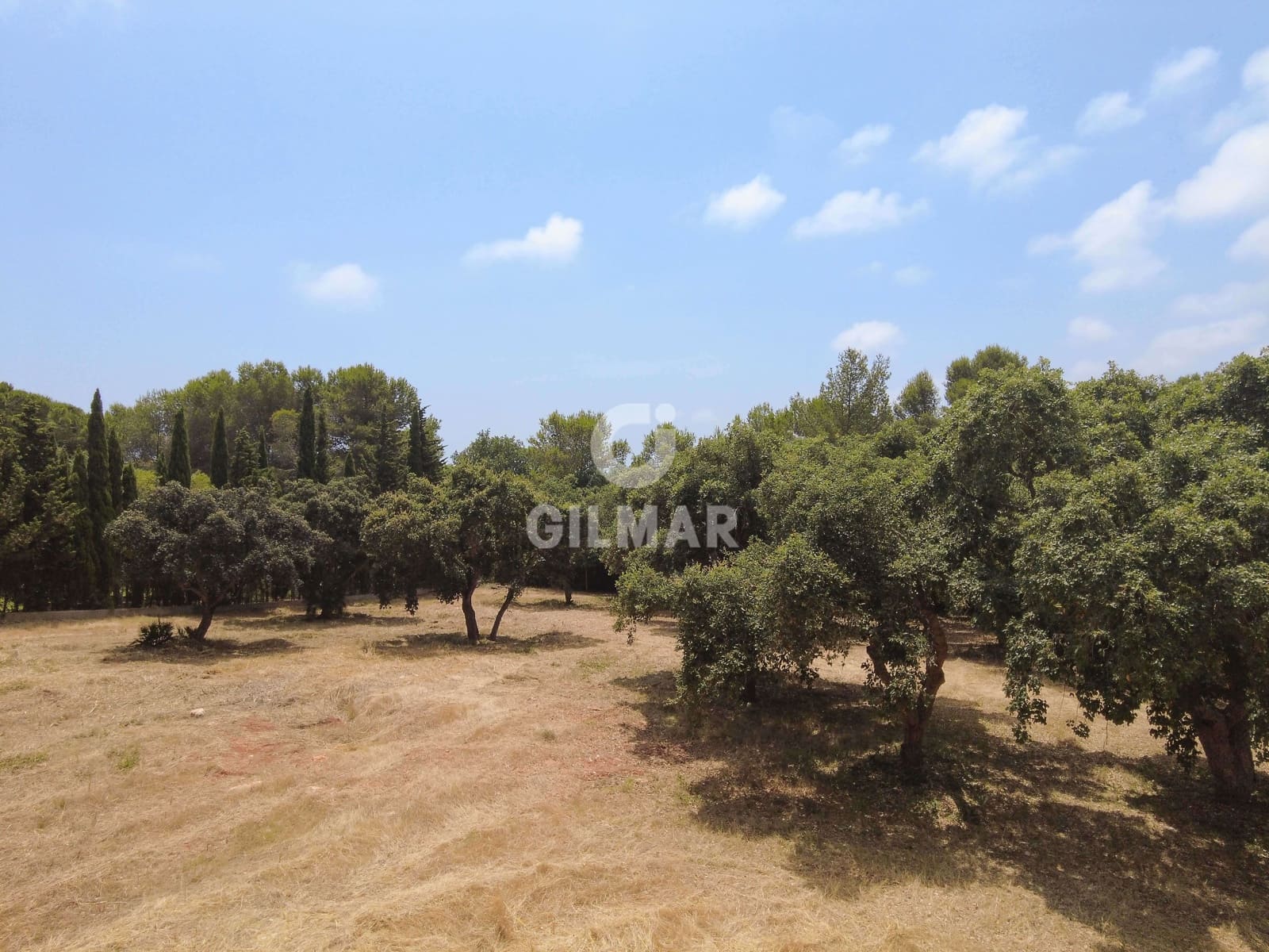 Byggetomt til salgs i Sotogrande - € 2 000 000 (Ref: 9205918)