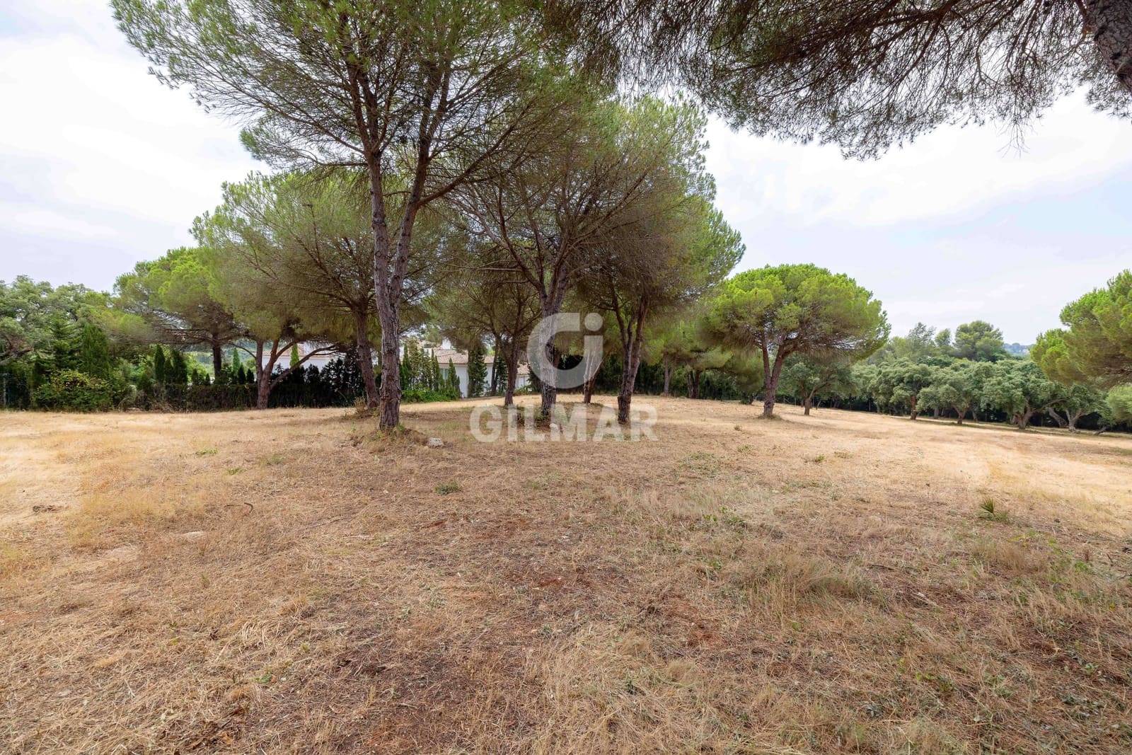 Byggetomt til salgs i Sotogrande - € 2 000 000 (Ref: 9205918)