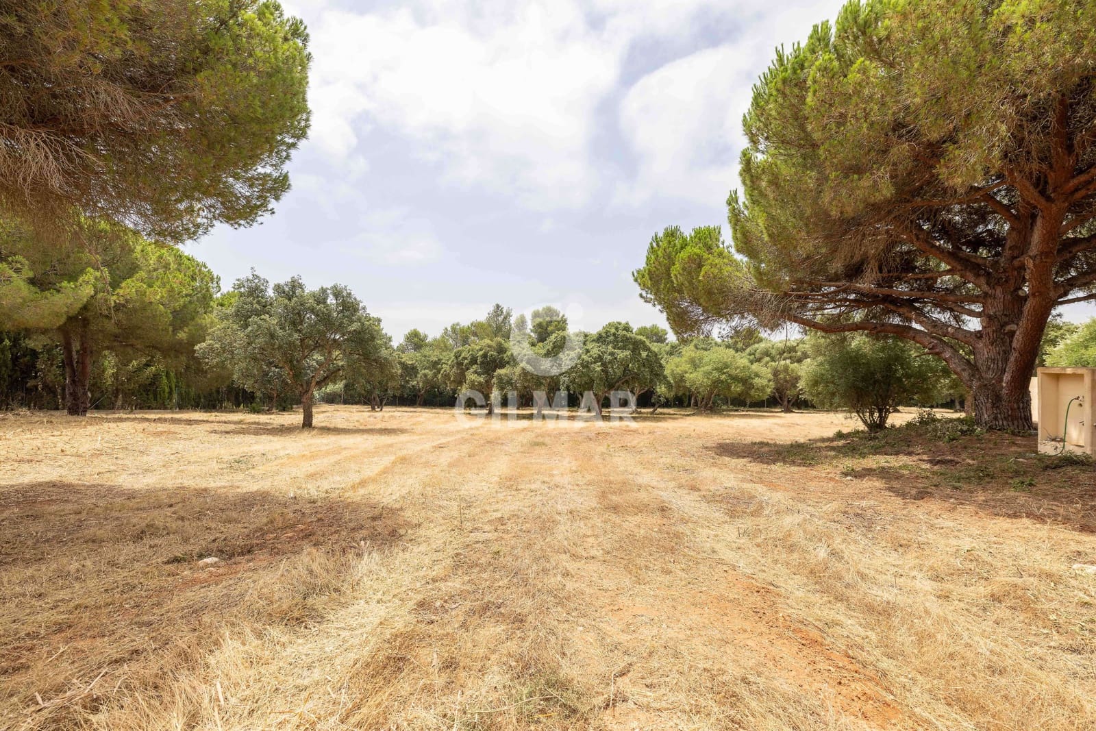 Byggetomt til salgs i Sotogrande - € 2 000 000 (Ref: 9205918)