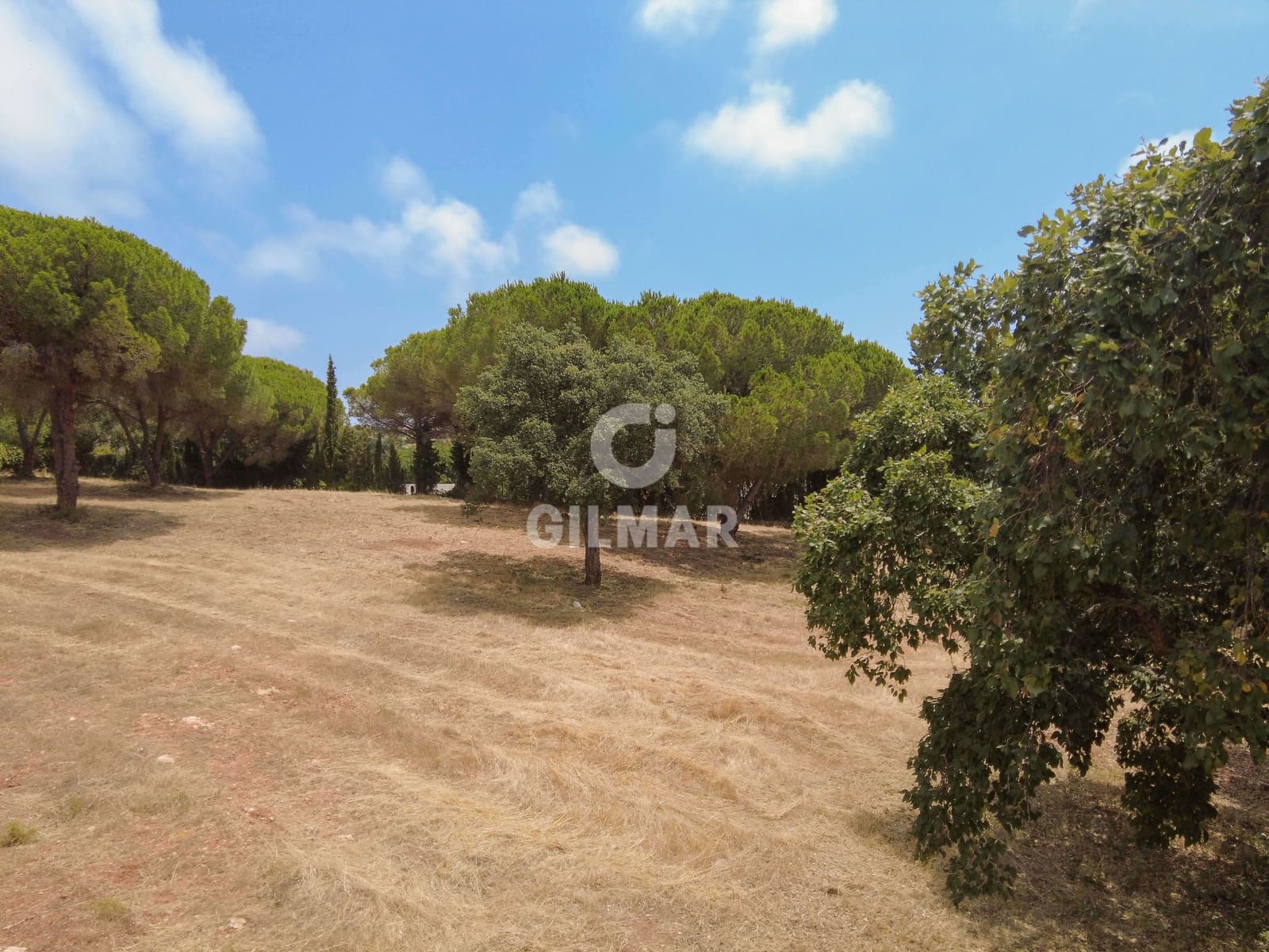 Byggetomt til salgs i Sotogrande - € 2 000 000 (Ref: 9205918)