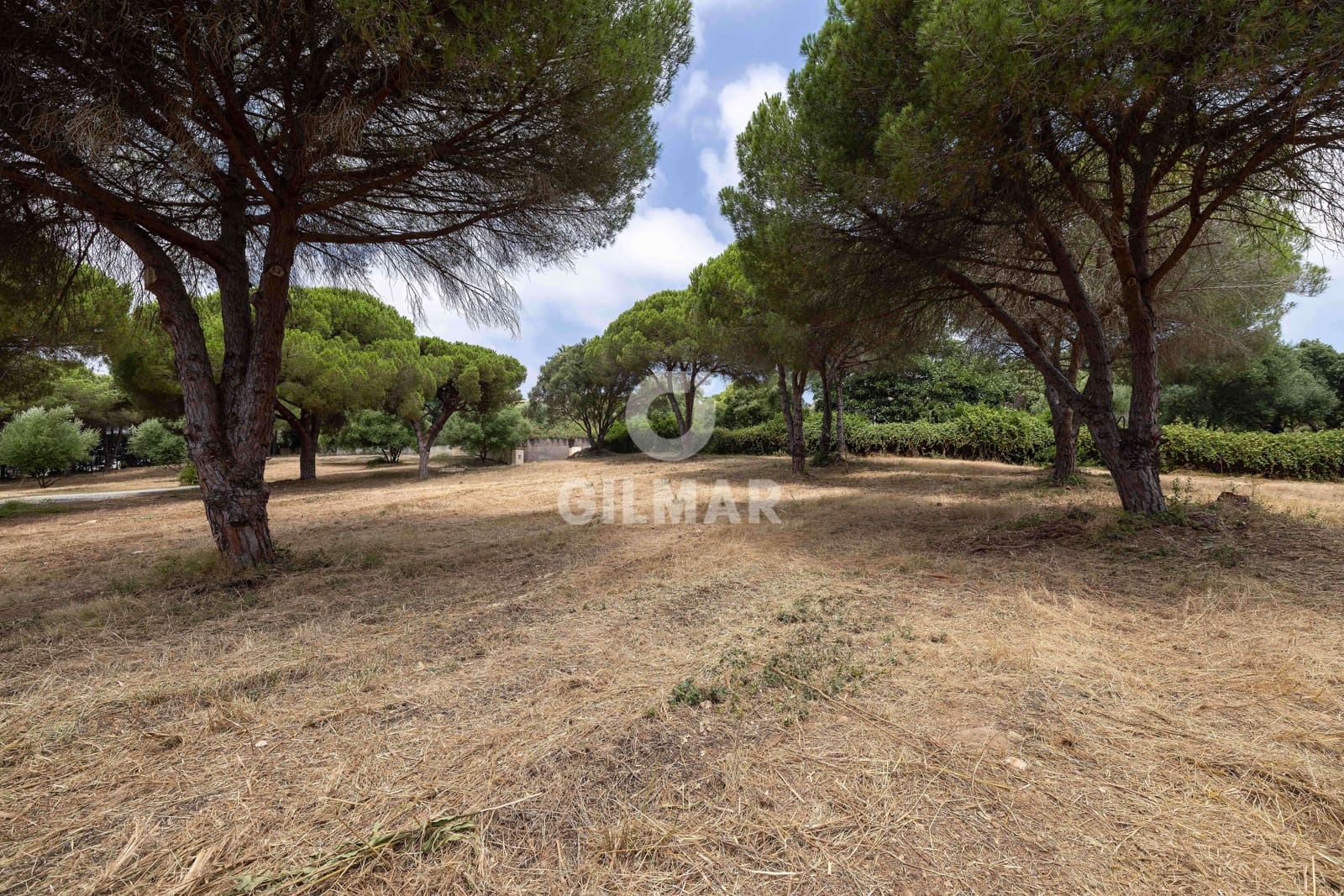 Byggetomt til salgs i Sotogrande - € 2 000 000 (Ref: 9205918)