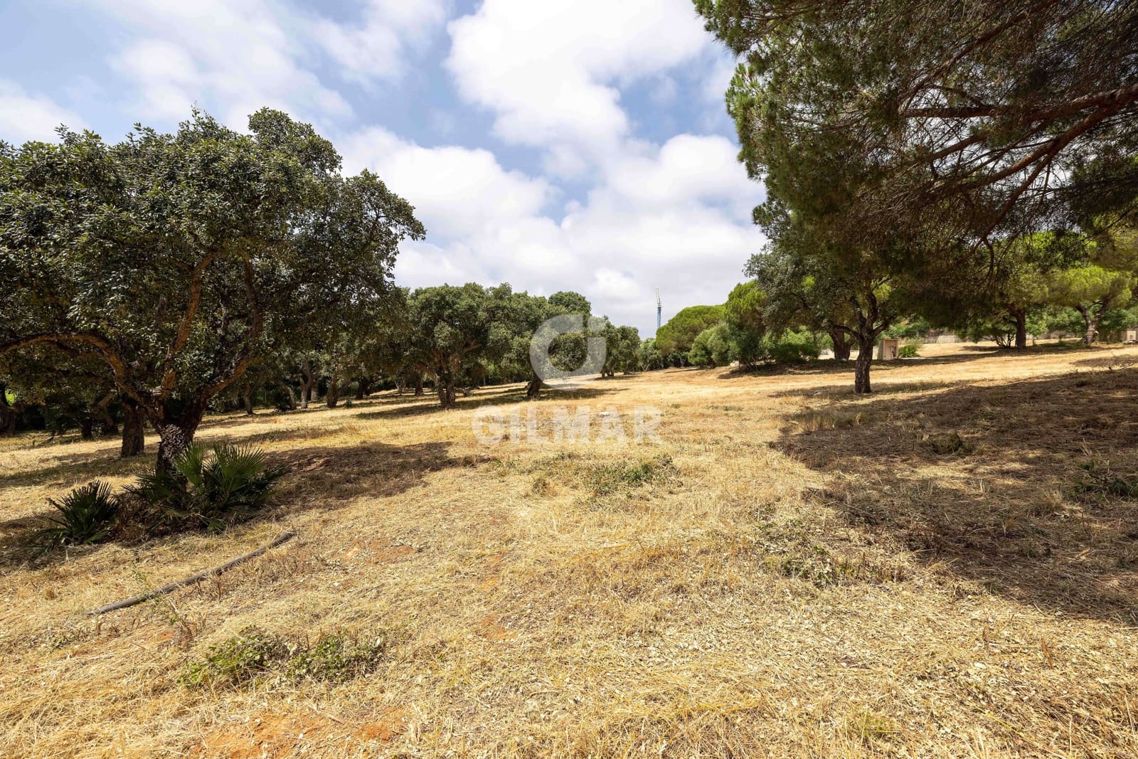 Byggetomt til salgs i Sotogrande - € 2 000 000 (Ref: 9205918)