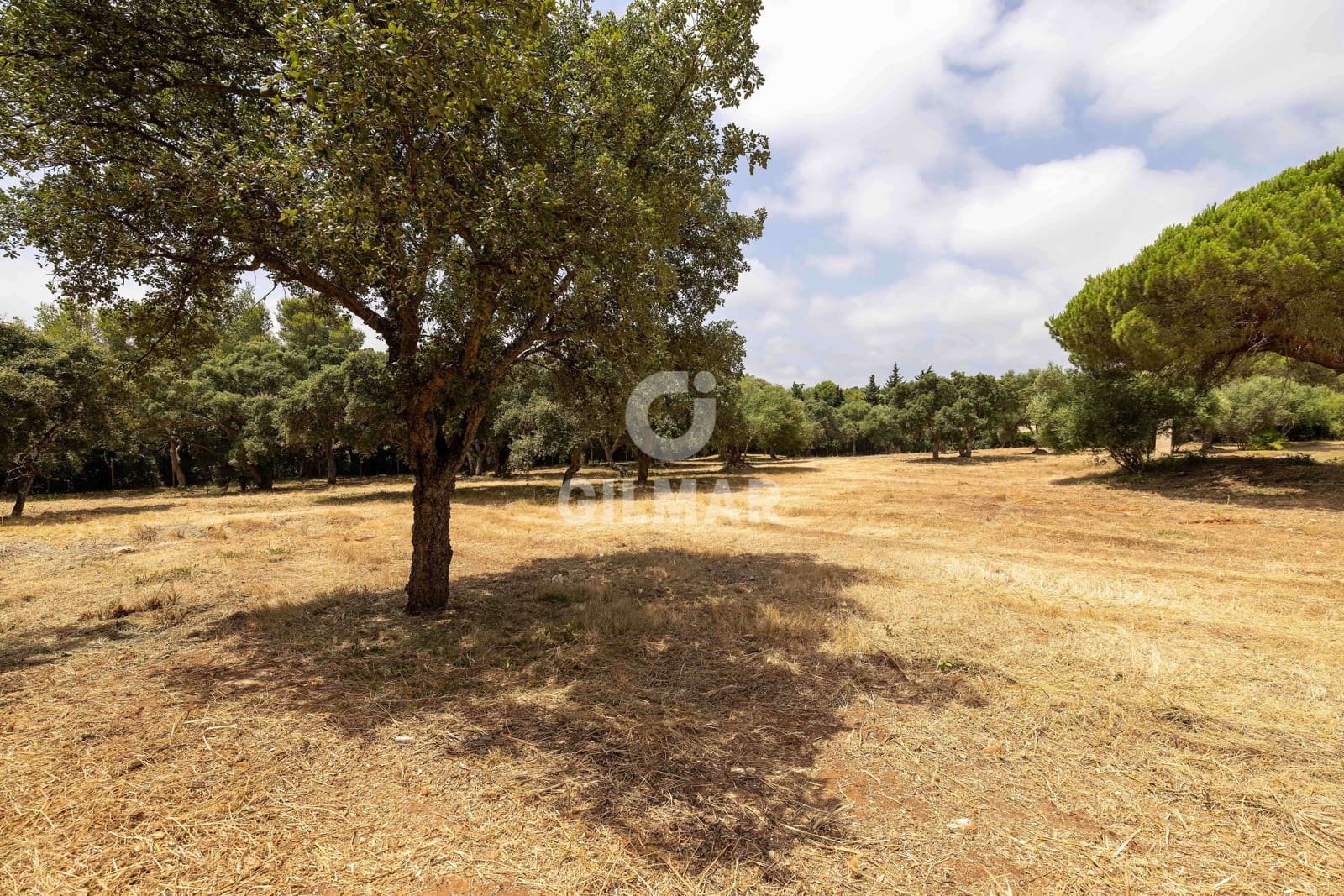 Byggetomt til salgs i Sotogrande - € 2 000 000 (Ref: 9205918)