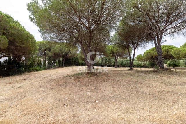 Terreno para Construção para venda em Sotogrande Alto, San Roque - 2 000 000 € (Ref: 9205918)
