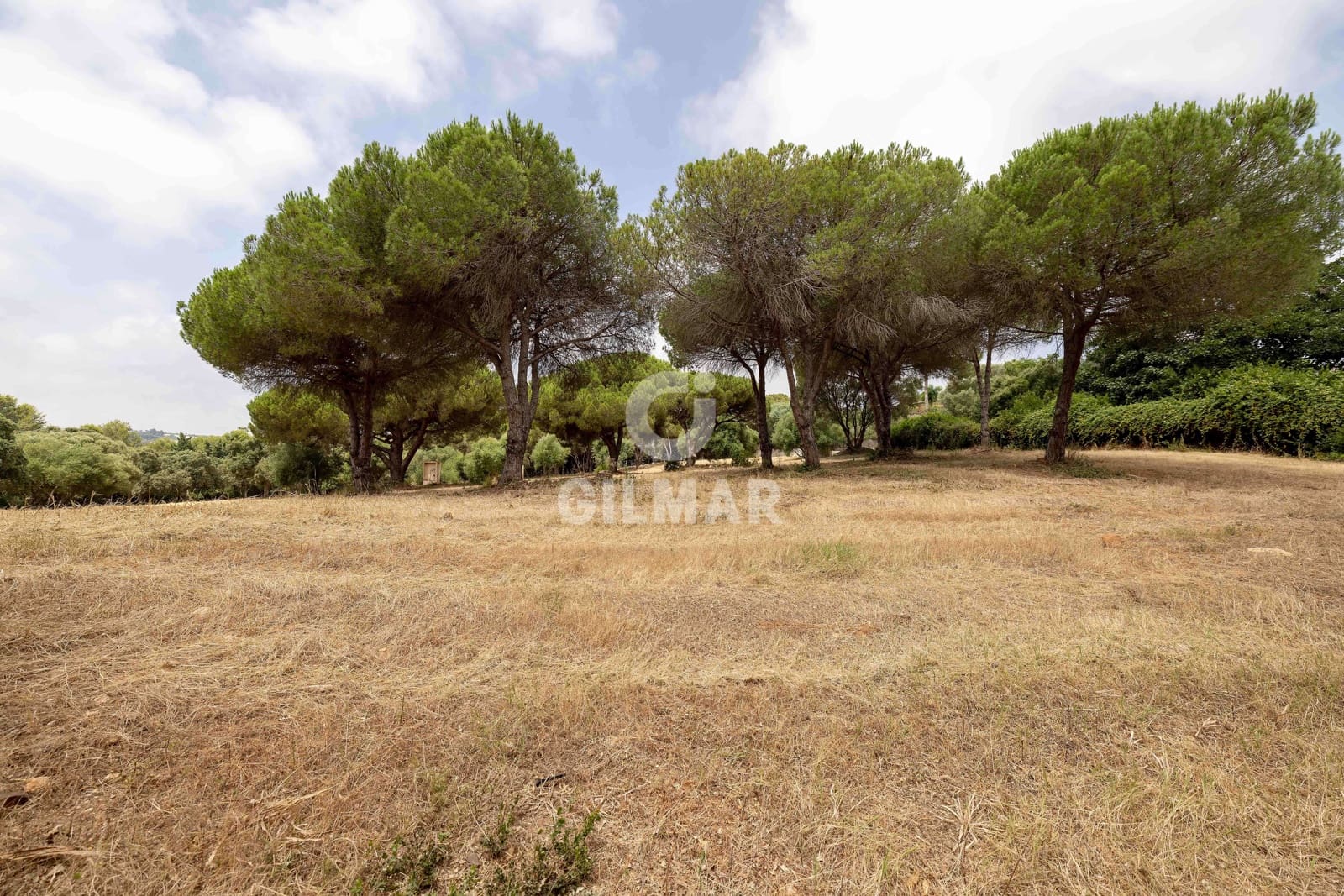 Byggetomt til salgs i Sotogrande - € 2 000 000 (Ref: 9205918)