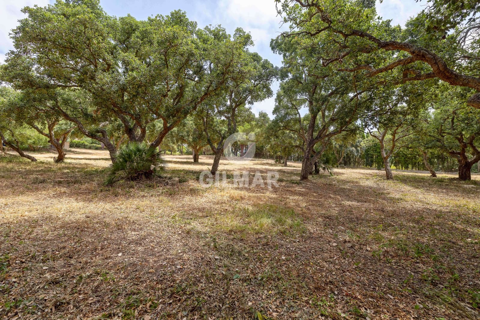 Byggetomt til salgs i Sotogrande - € 2 000 000 (Ref: 9205918)