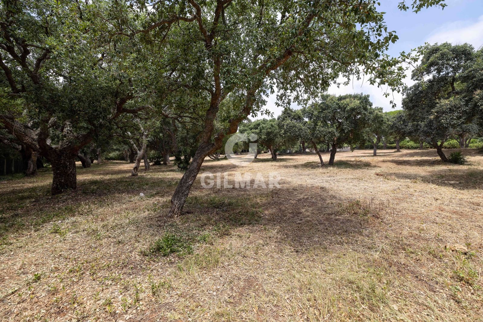 Byggetomt til salgs i Sotogrande - € 2 000 000 (Ref: 9205918)