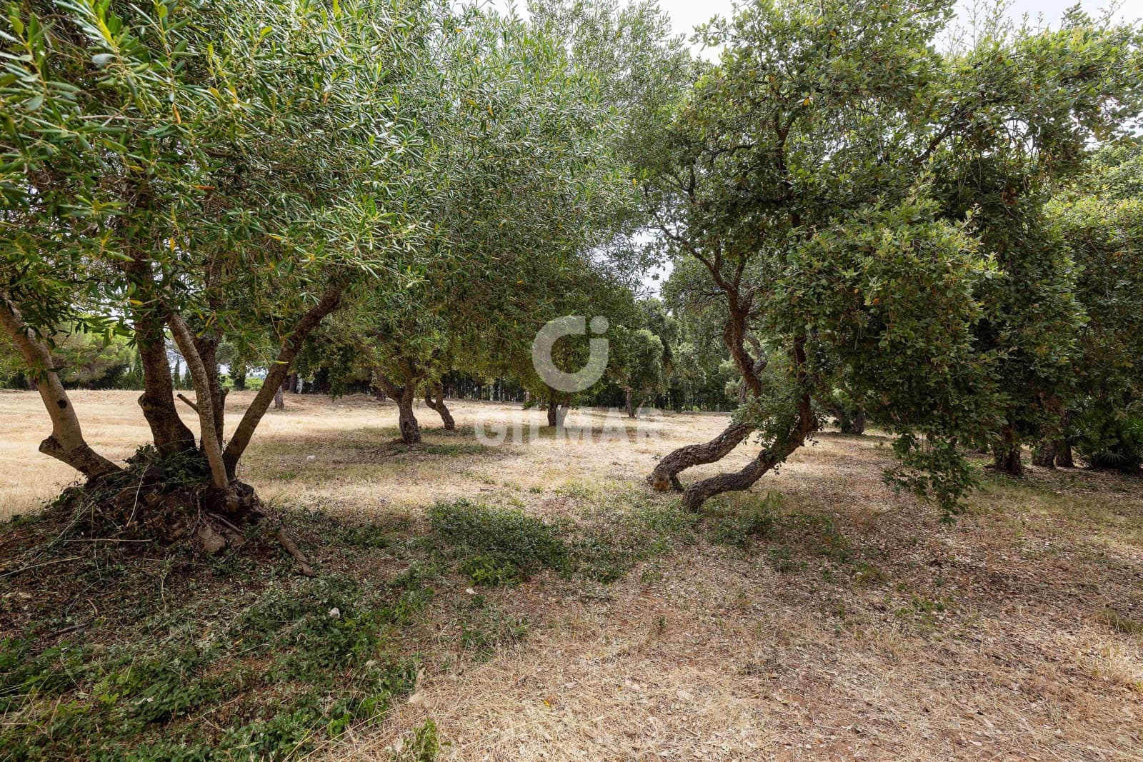 Byggetomt til salgs i Sotogrande - € 2 000 000 (Ref: 9205918)