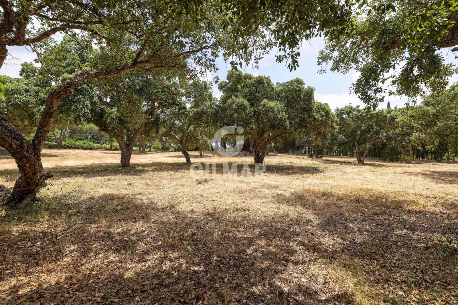 Byggetomt til salgs i Sotogrande - € 2 000 000 (Ref: 9205918)