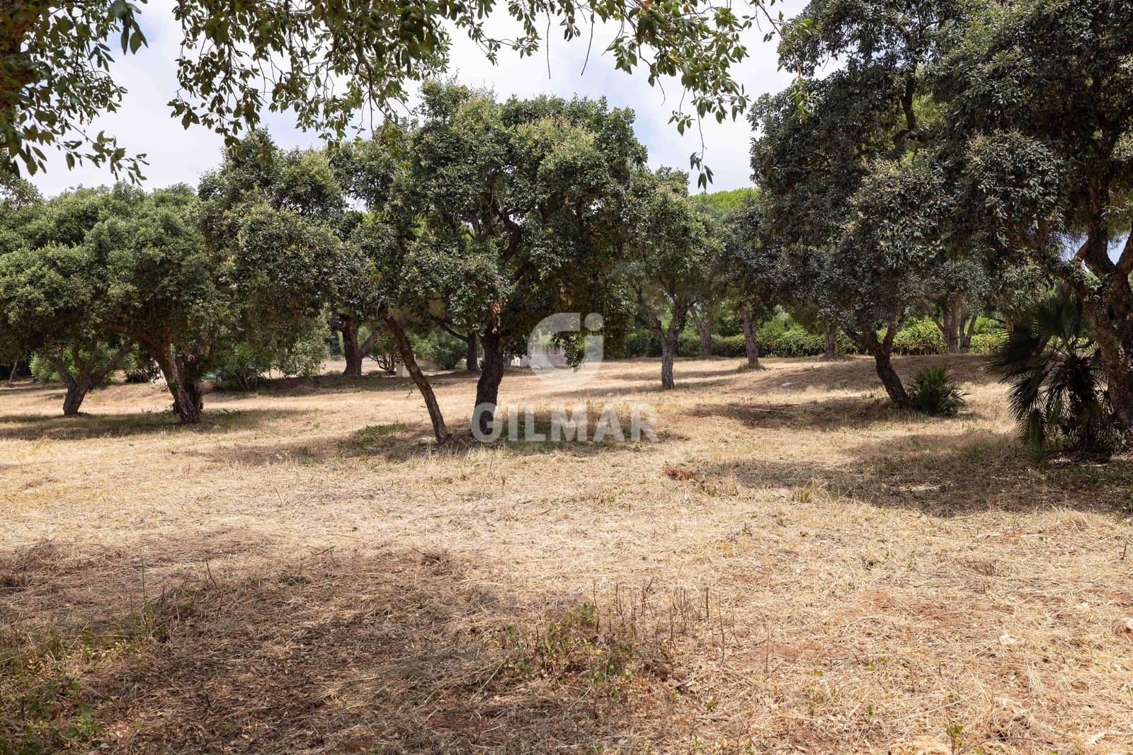 Byggetomt til salgs i Sotogrande - € 2 000 000 (Ref: 9205918)