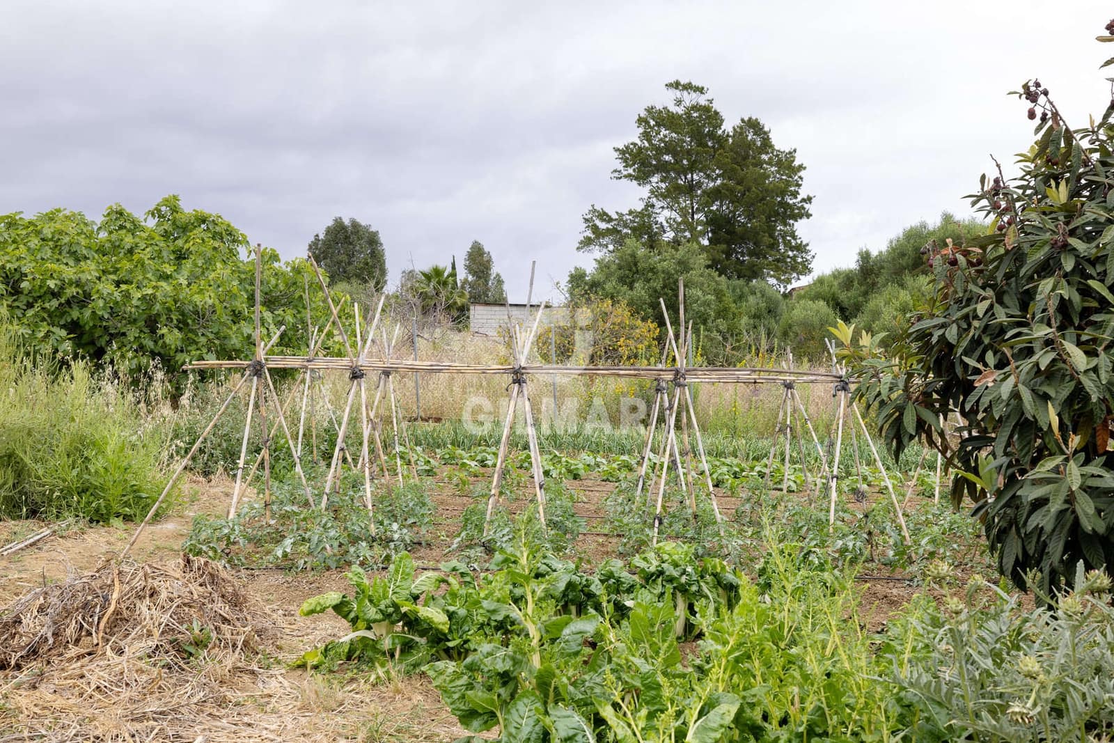 2 sypialnia Willa na sprzedaż w Estepona z garażem - 750 000 € (Ref: 9205938)