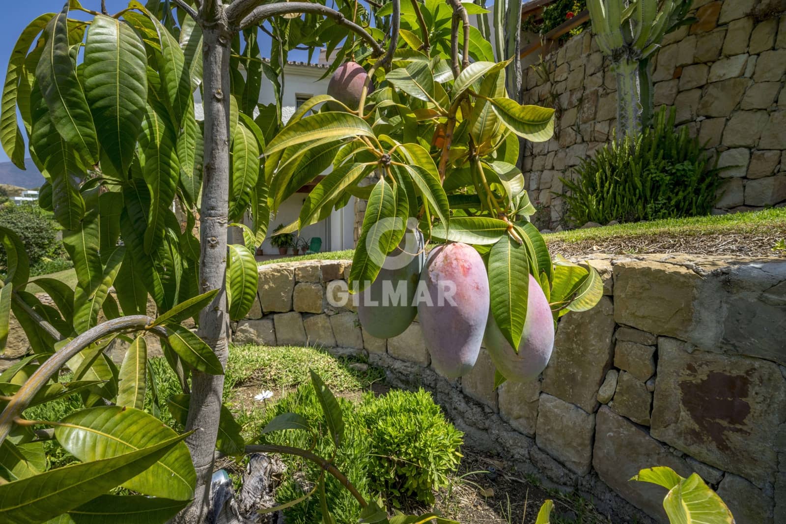 5 sovrum Villa till salu i Benahavis med pool - 2 100 000 € (Ref: 9205997)