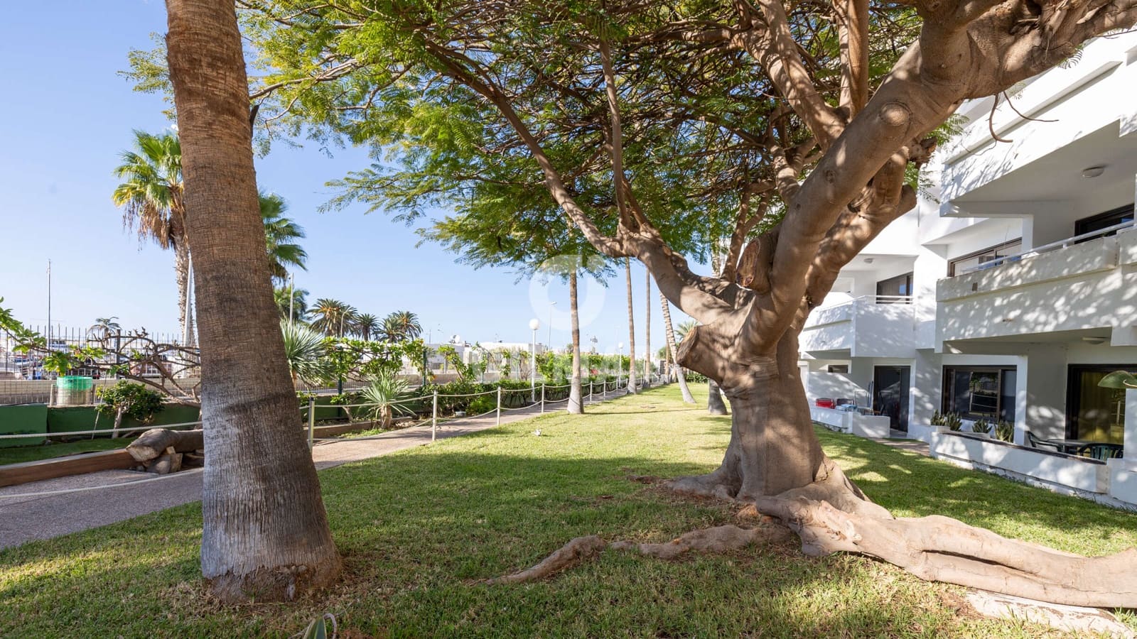 2 soveværelse Lejlighed til salg i Puerto Rico med swimmingpool - € 425.000 (Ref: 9206067)