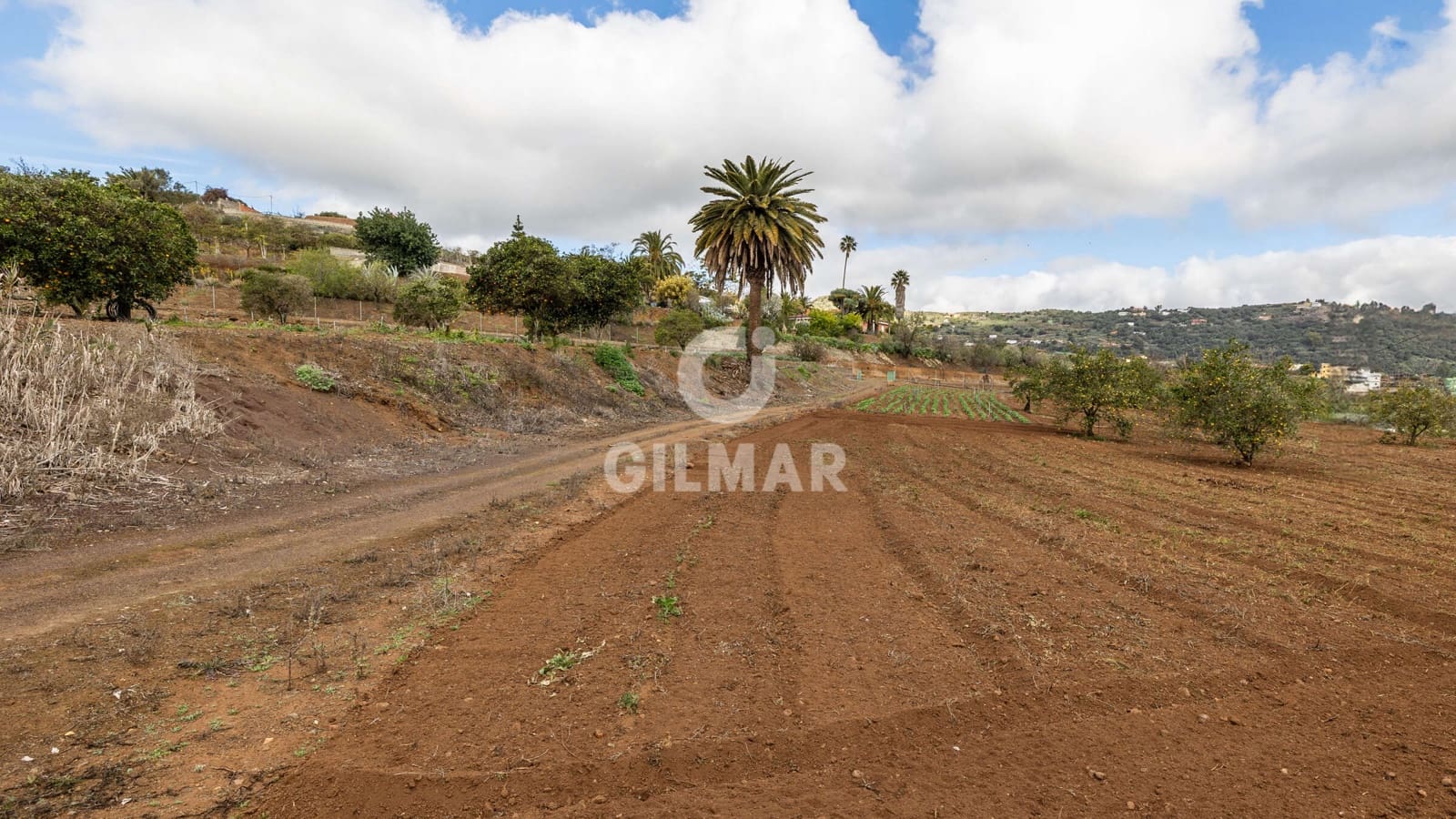 5 soverom Villa til salgs i Santa Brigida med garasje - € 1 797 000 (Ref: 9206069)