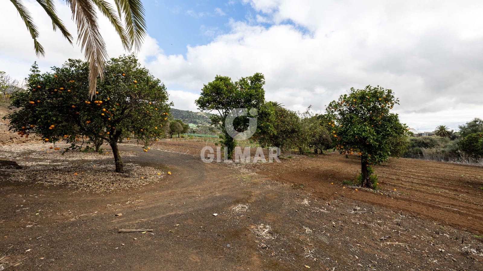 5 soverom Villa til salgs i Santa Brigida med garasje - € 1 797 000 (Ref: 9206069)