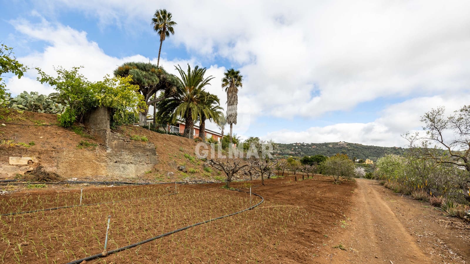 5 soverom Villa til salgs i Santa Brigida med garasje - € 1 797 000 (Ref: 9206069)