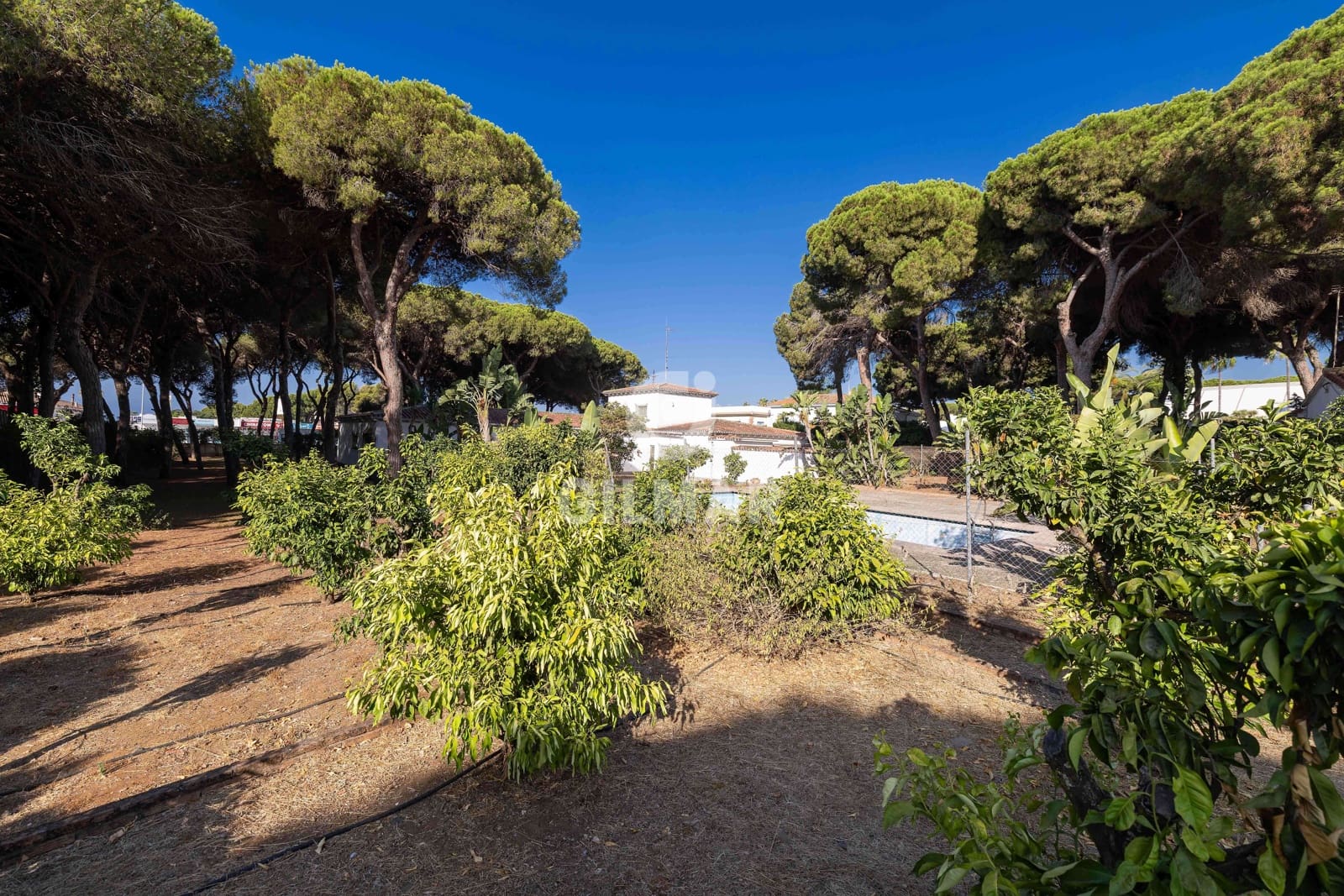 11 soveværelse Villa til salg i Elviria med swimmingpool - € 1.900.000 (Ref: 9211587)