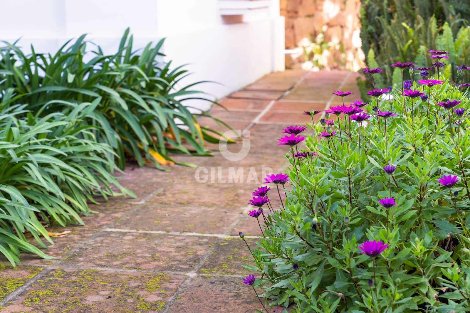 6 soverom Villa til salgs i Marbella med svømmebasseng garasje - € 4 000 000 (Ref: 9229128)