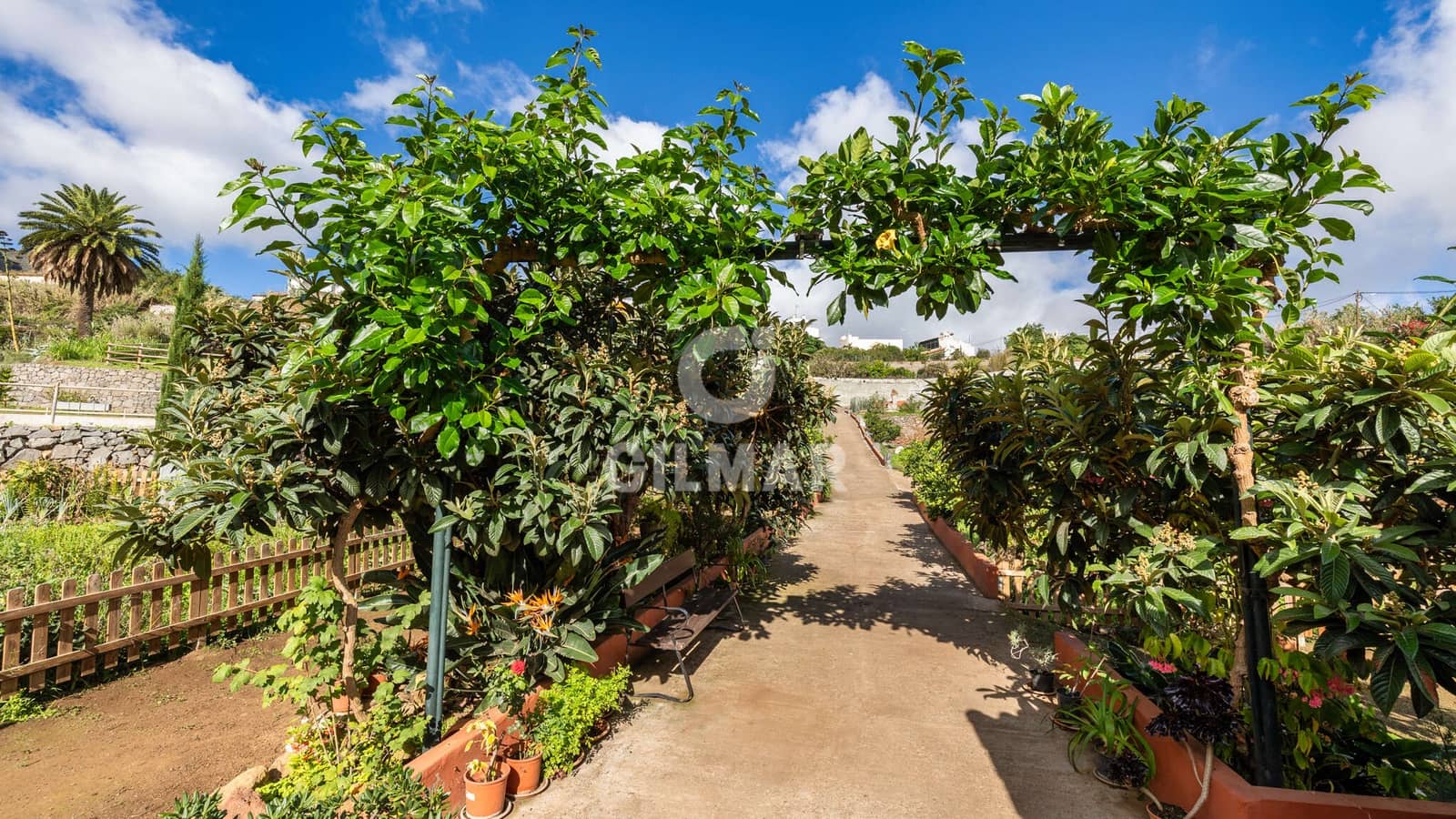 3 slaapkamer Villa te koop in Teror met zwembad - € 765.000 (Ref: 9278549)