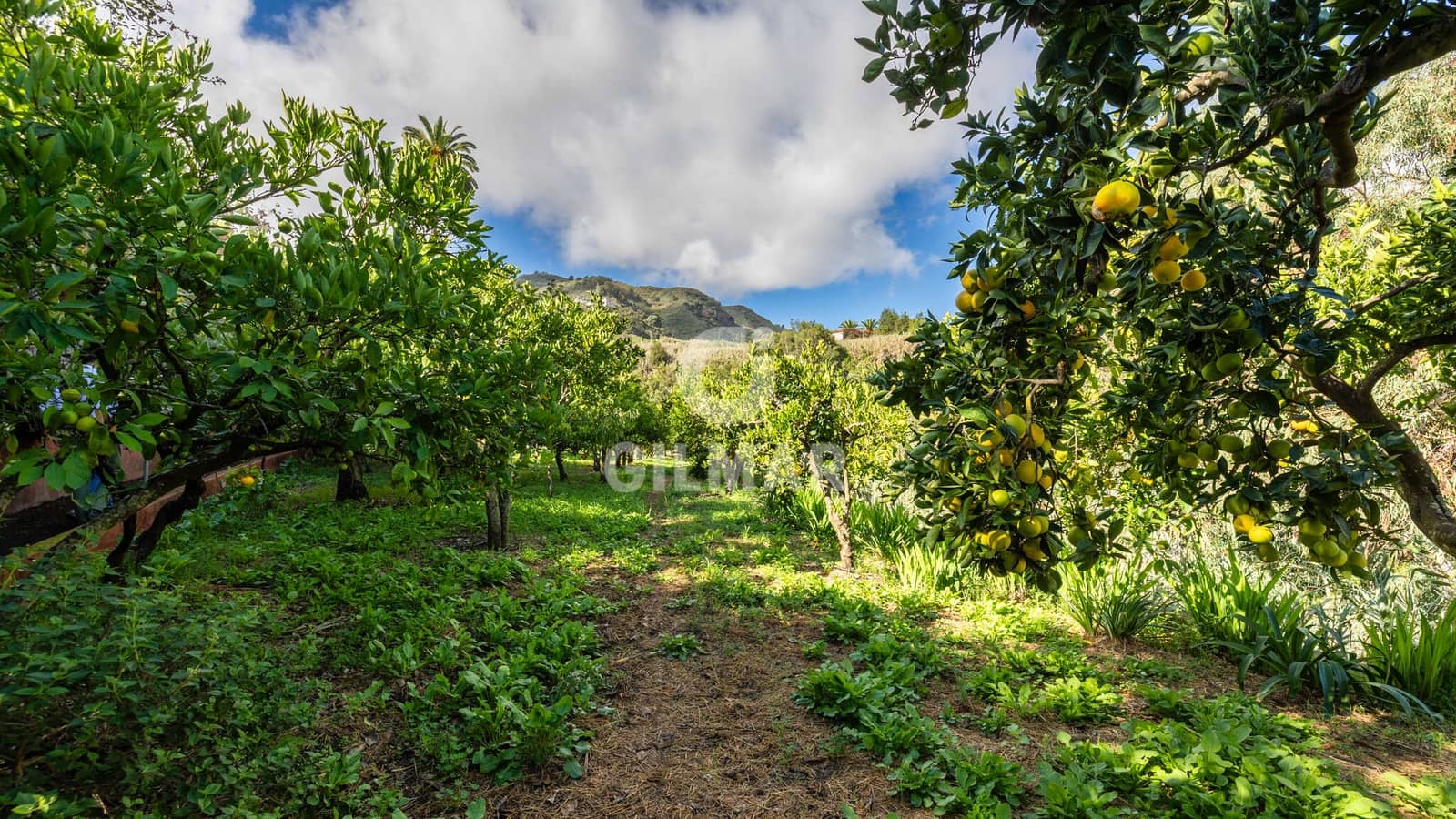 3 slaapkamer Villa te koop in Teror met zwembad - € 765.000 (Ref: 9278549)