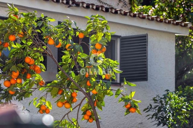 6 chambre Villa/Maison à vendre à El Candado, Malaga ville avec garage - 890 000 € (Ref: 9412852)