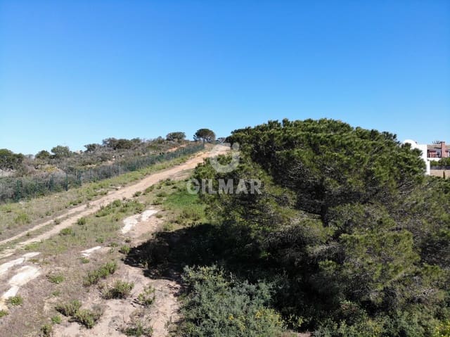 6 bedroom Villa for sale in Sotogrande Alto, San Roque with pool garage - € 6,500,000 (Ref: 9453673)