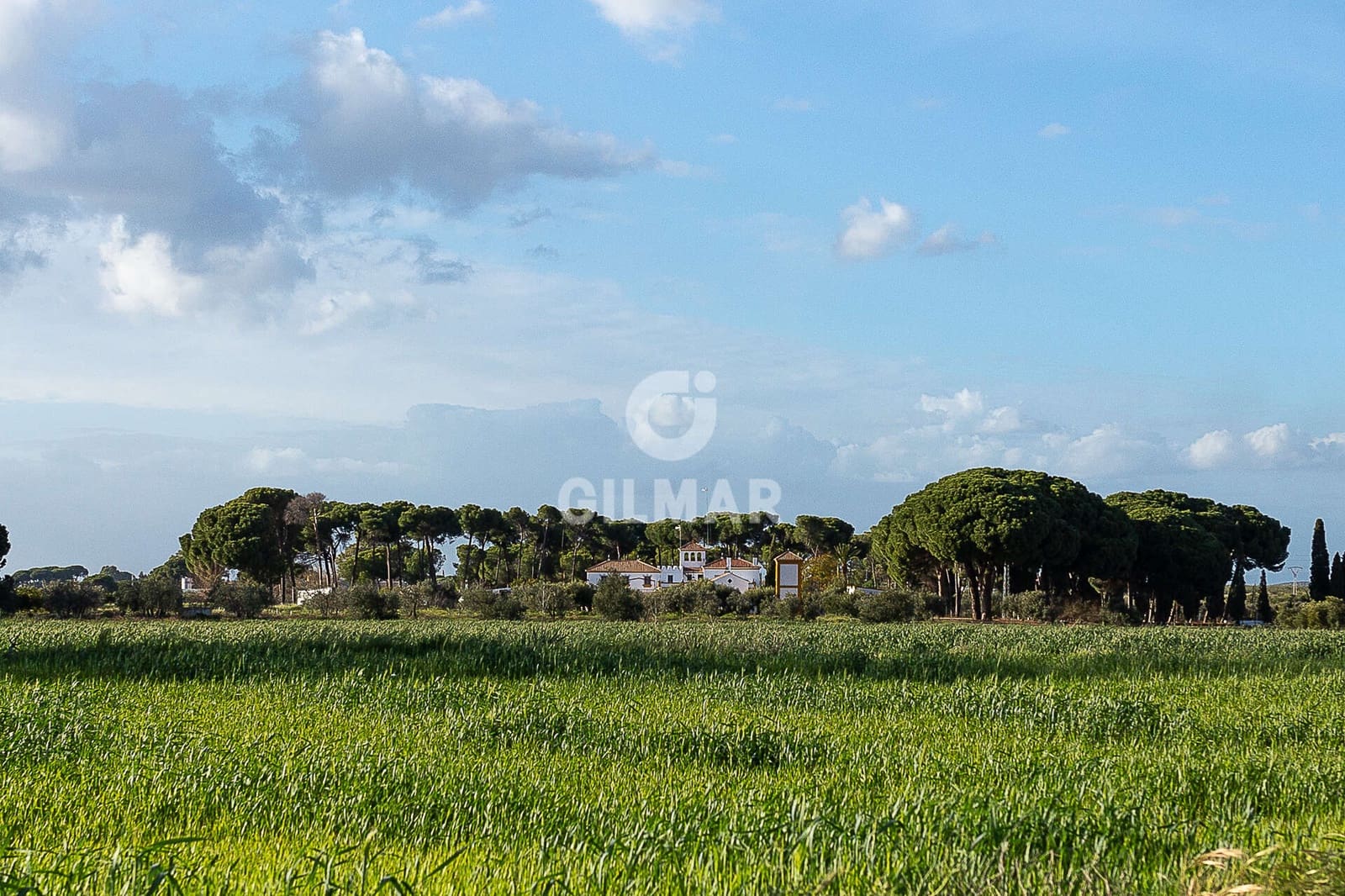 7 camera da letto Villa in vendita in Marchena con piscina - 940.000 € (Rif: 9669215)