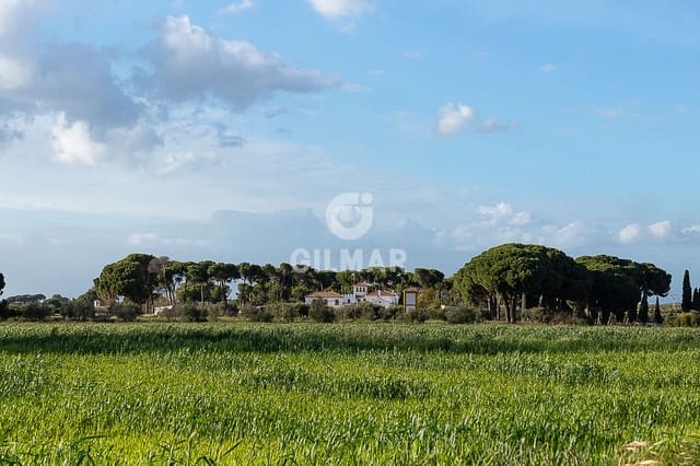 7 camera da letto Villa in vendita in Marchena con piscina - 940.000 € (Rif: 9669215)