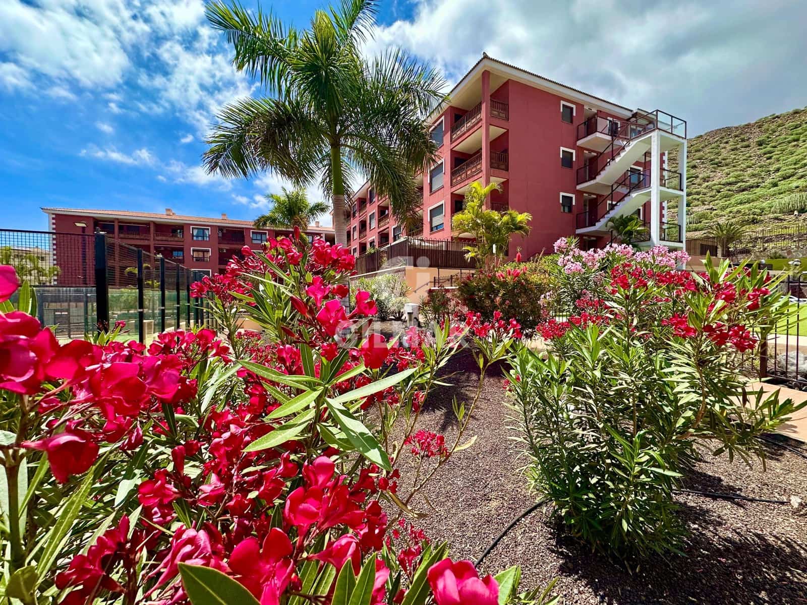 2 bedroom Flat for sale in Palm-Mar with pool garage - € 390,000 (Ref: 9747382)
