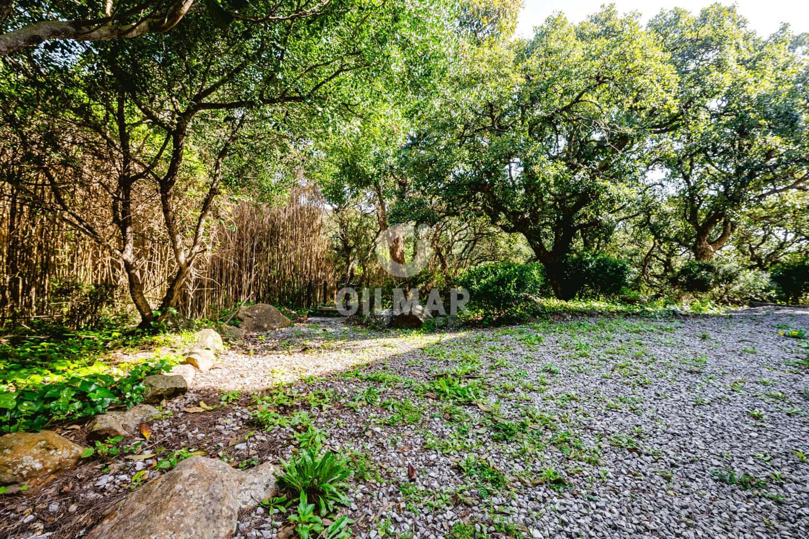 5 chambre Villa/Maison à vendre à Tarifa - 1 900 000 € (Ref: 9795343)