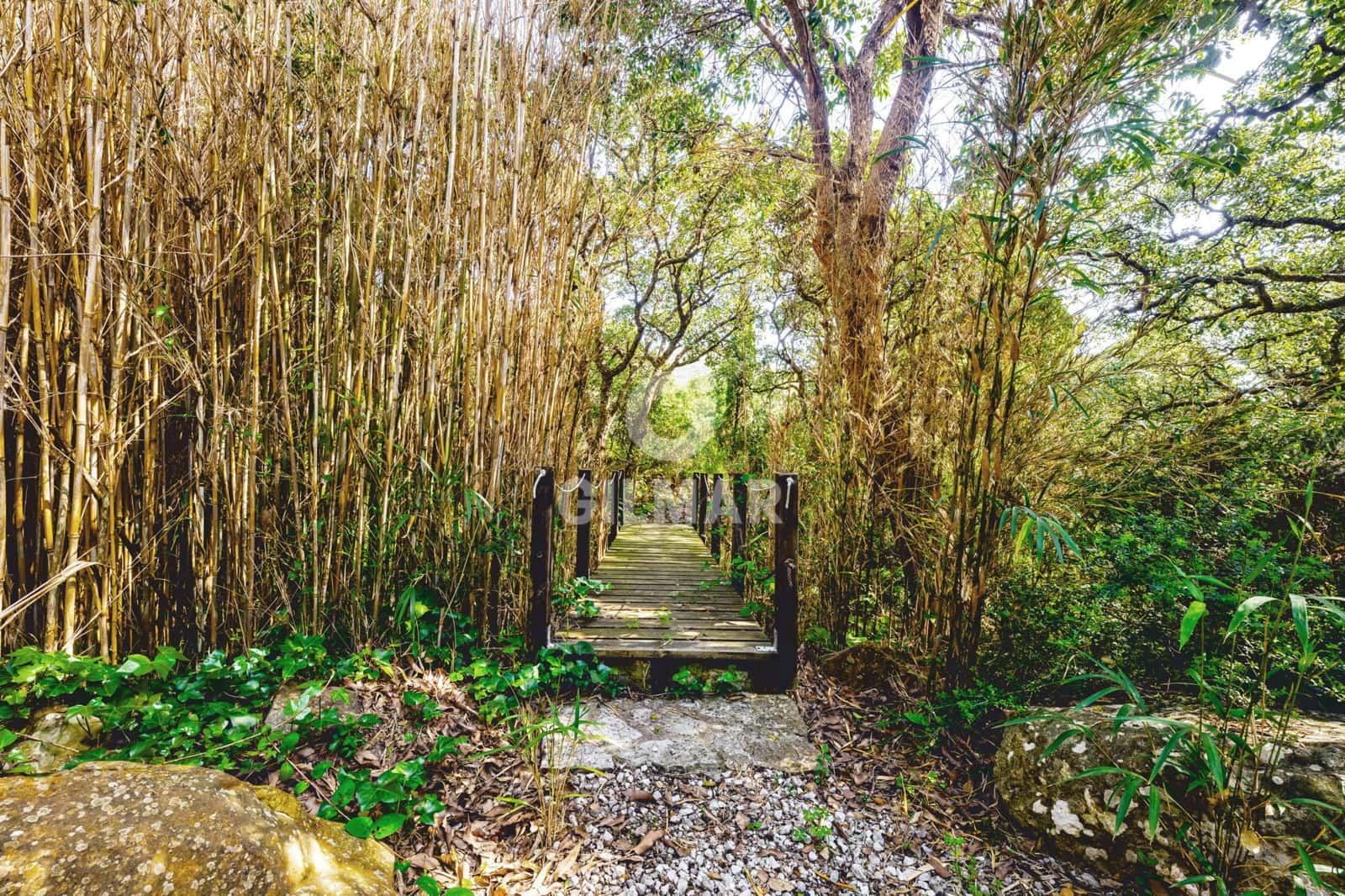 5 chambre Villa/Maison à vendre à Tarifa - 1 900 000 € (Ref: 9795343)