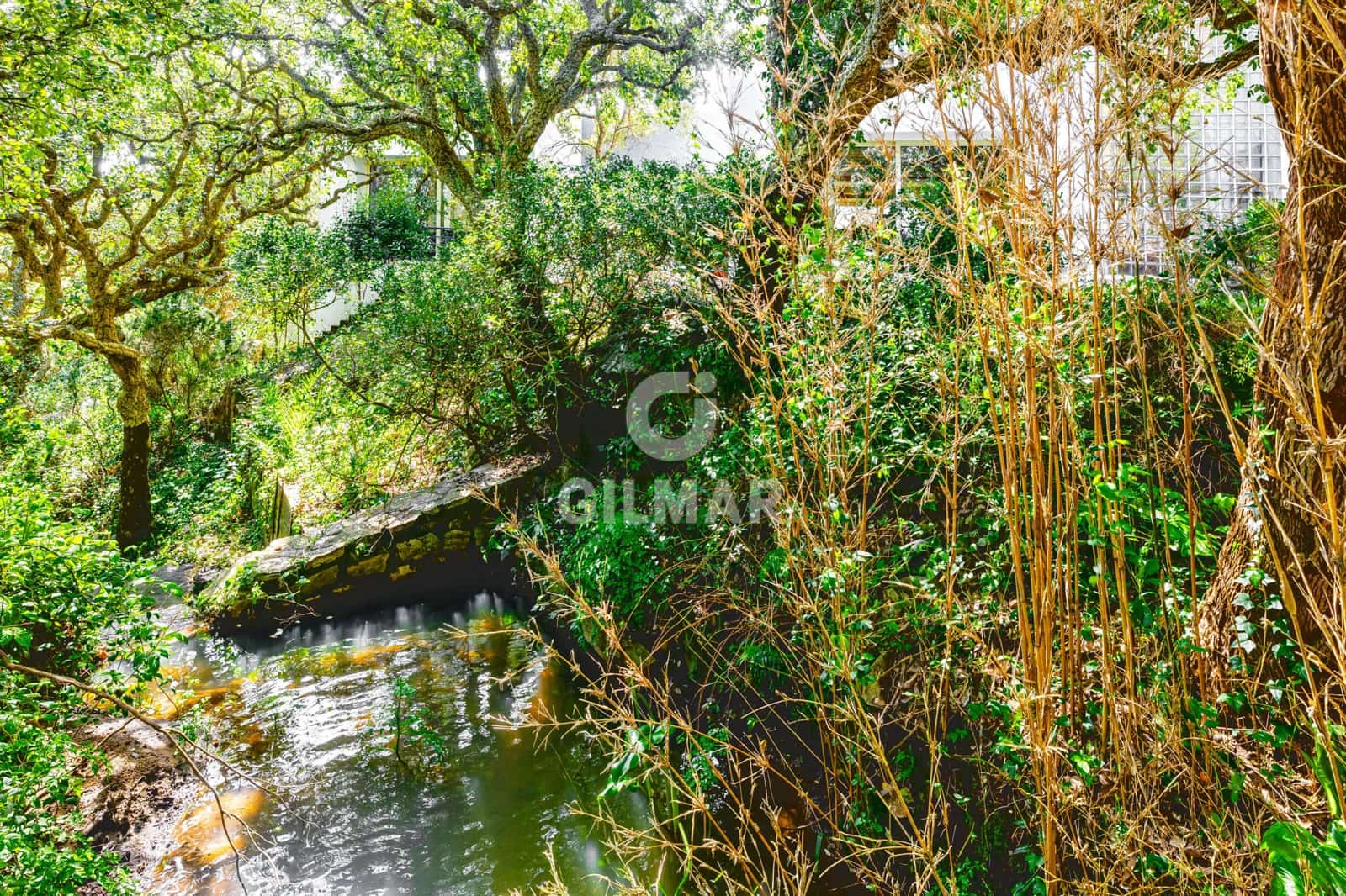 5 chambre Villa/Maison à vendre à Tarifa - 1 900 000 € (Ref: 9795343)