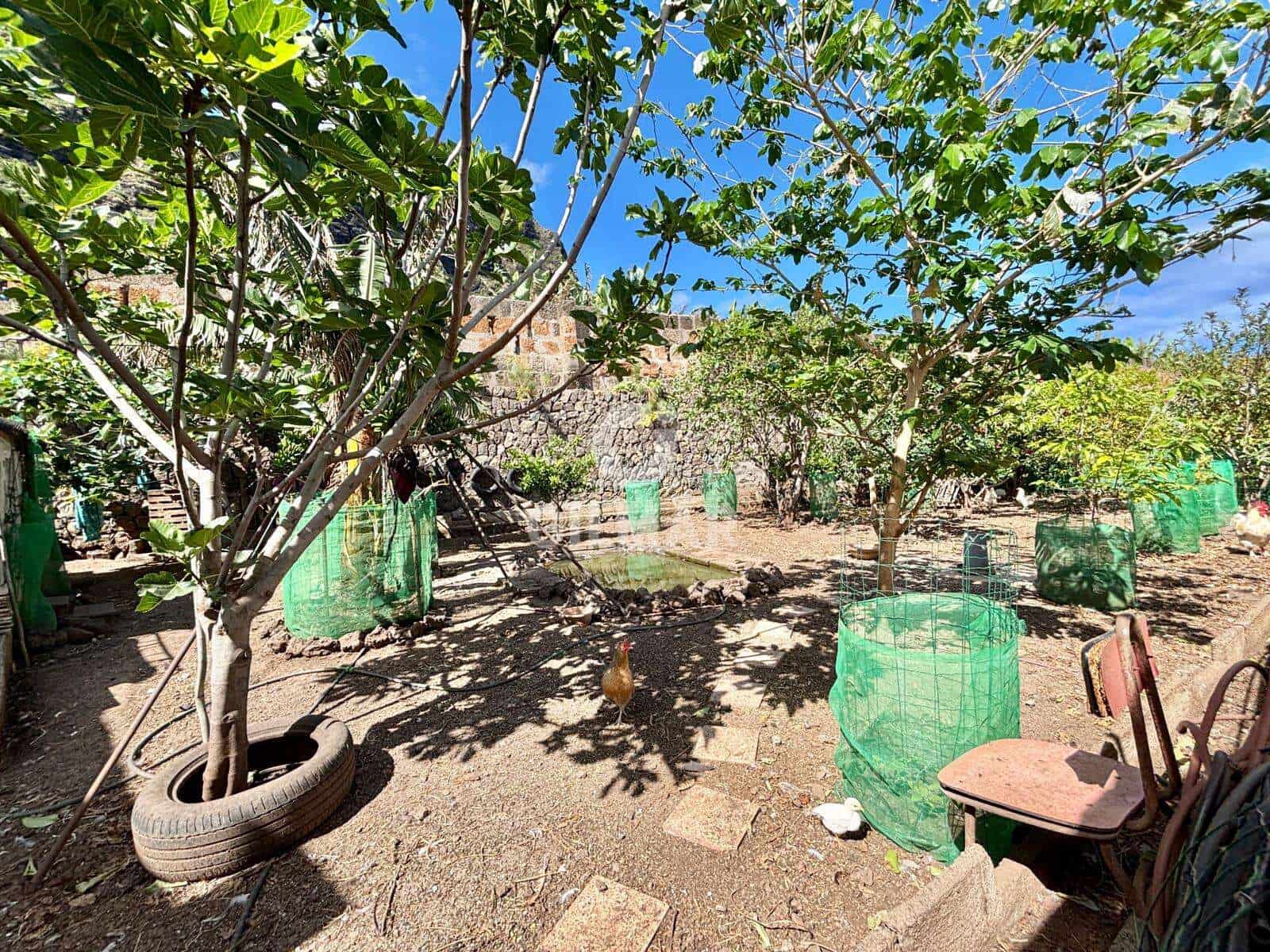 7 bedroom Villa for sale in Garachico - € 795,000 (Ref: 9847867)